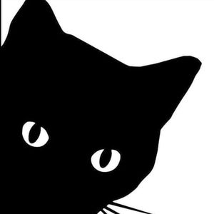 Meet your Posher, Carole